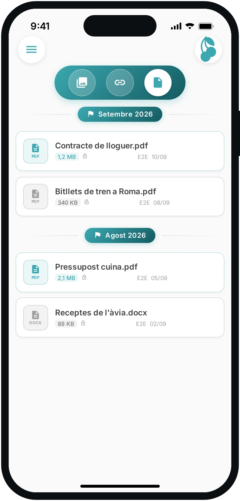 La pestanya dels documents compartits, amb pes i data.